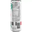 Celsius Sparkling Energy Drink - No Sugar or Preservatives - Peach Vibe