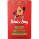 Daily Hydration Electrolyte Drink Mix - Watermelon (12 Stick Packs)