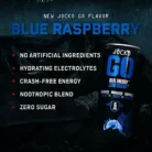 Discipline GO Energy Drink – Physical & Cognitive Support – Blue Raspberry 8