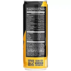 Discipline GO Energy Drink – Physical & Cognitive Support – Iced Tea Lemonade