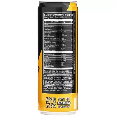 Discipline GO Energy Drink – Physical & Cognitive Support – Iced Tea Lemonade 2 Discipline GO Energy Drink – Physical & Cognitive Support – Iced Tea Lemonade