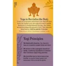 Elderberry Lemon Balm Immune & Stress Support Tea - Caffeine Free (16 Tea Bags)