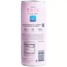 Sparkling Drink Infused with Lion's Mane & Magnesium - Elderflower Mint (4 Drinks, 12 Fl Oz. Each)