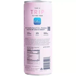 Sparkling Drink Infused with Lion's Mane & Magnesium - Elderflower Mint (4 Drinks, 12 Fl Oz. Each)