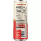 Energy Drink- Watermelon