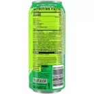 GHOST Energy Drink - Zero Sugar - Sour Green Apple