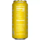 Lightly Carbonated Protein Drink - 25g Protein - Frosted Lemonade (16 Fl Oz. / 12 Drinks)