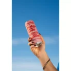 Protein Soda - 10g Protein - Wild Strawberry (12 Drinks, 12 Fl. Oz.)