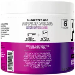 Rapid Hydration Electrolyte Drink Mix - Berry Citrus Rush (48 Servings)