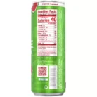 Ryse Energy Drink - 8g of Protein + Prebiotics - Strawberry Watermelon