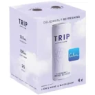 Sparkling Drink Infused with Lion's Mane & Magnesium - Raspberry Orange Blossom (4 Drinks, 12 Fl Oz. Each)