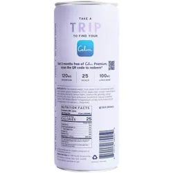 Sparkling Drink Infused with Lion's Mane & Magnesium - Raspberry Orange Blossom (4 Drinks, 12 Fl Oz. Each)