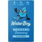Weekend Recovery Hydration Electrolyte Drink Mix - Blue Raspberry (8 Stick Packs)