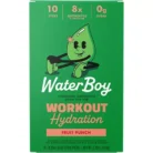 Workout Hydration Electrolyte Drink Mix - Fruit Punch (10 Stick Packs)