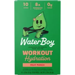 Workout Hydration Electrolyte Drink Mix - Fruit Punch (10 Stick Packs)