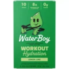 Workout Hydration Electrolyte Drink Mix - Lemon Lime (10 Stick Packs)