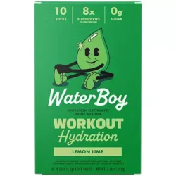 Workout Hydration Electrolyte Drink Mix - Lemon Lime (10 Stick Packs)