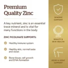 Zinc Picolinate - 22 MG (100 Tablets)